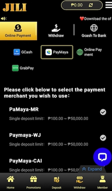 Deposit JILI22 through Pay Maya
