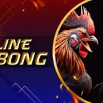 Online Sabong - The Most Popular Sport in the Philippines